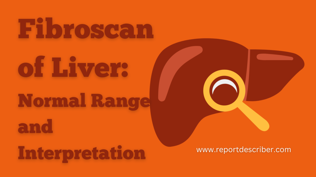 Fibroscan of Liver Report Describer